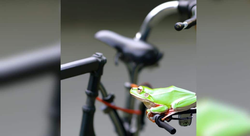 A frog on a bicycle that has been created from Adobe's generative AI