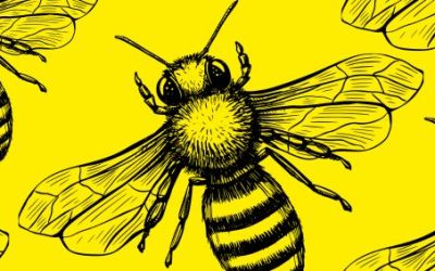 Bee more bee - brand experimentation in business