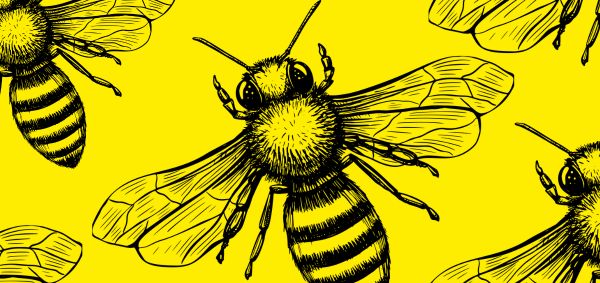 Bee more bee - brand experimentation in business