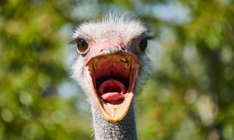 Featured image for Knock Knock. Who’s there? Better marketing. The power of humour in B2B
