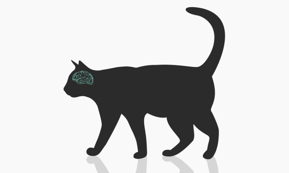 Schrödinger’s Buyer - why holistic attribution builds the shortlist in minds