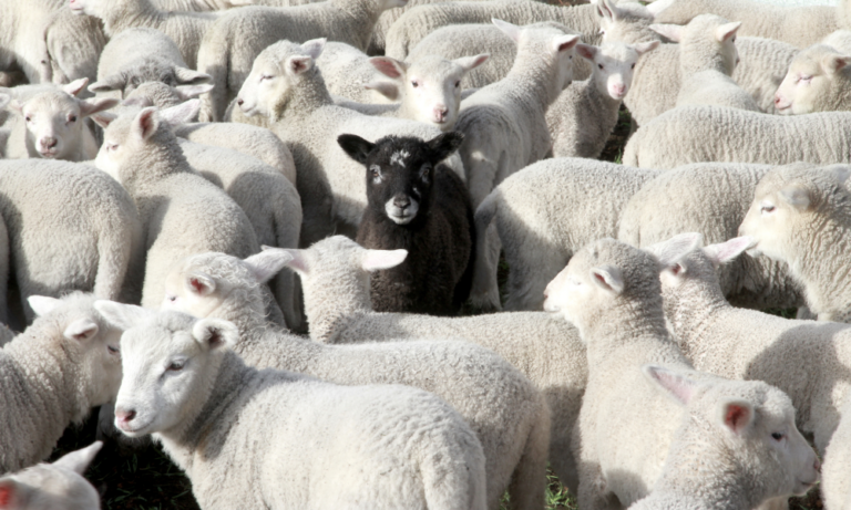 Featured image for The cost of dull marketing in B2B SaaS and how to properly stand out