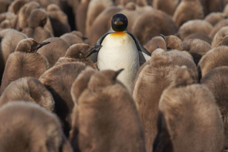 Featured image for Unignorable: How B2B tech brands get noticed, remembered and chosen