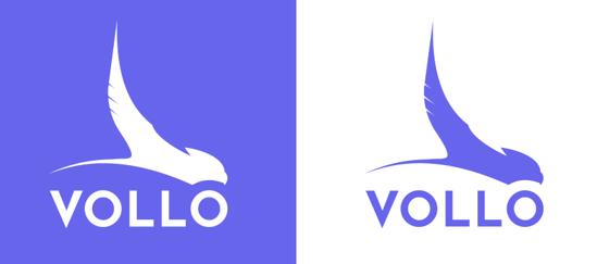 vollo peregrine falcon